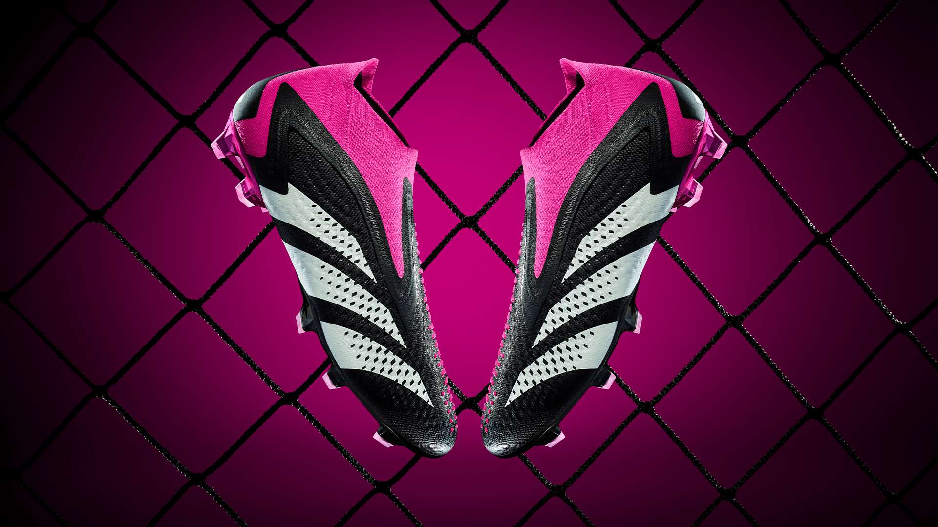 很高的竞技 很高的竞技