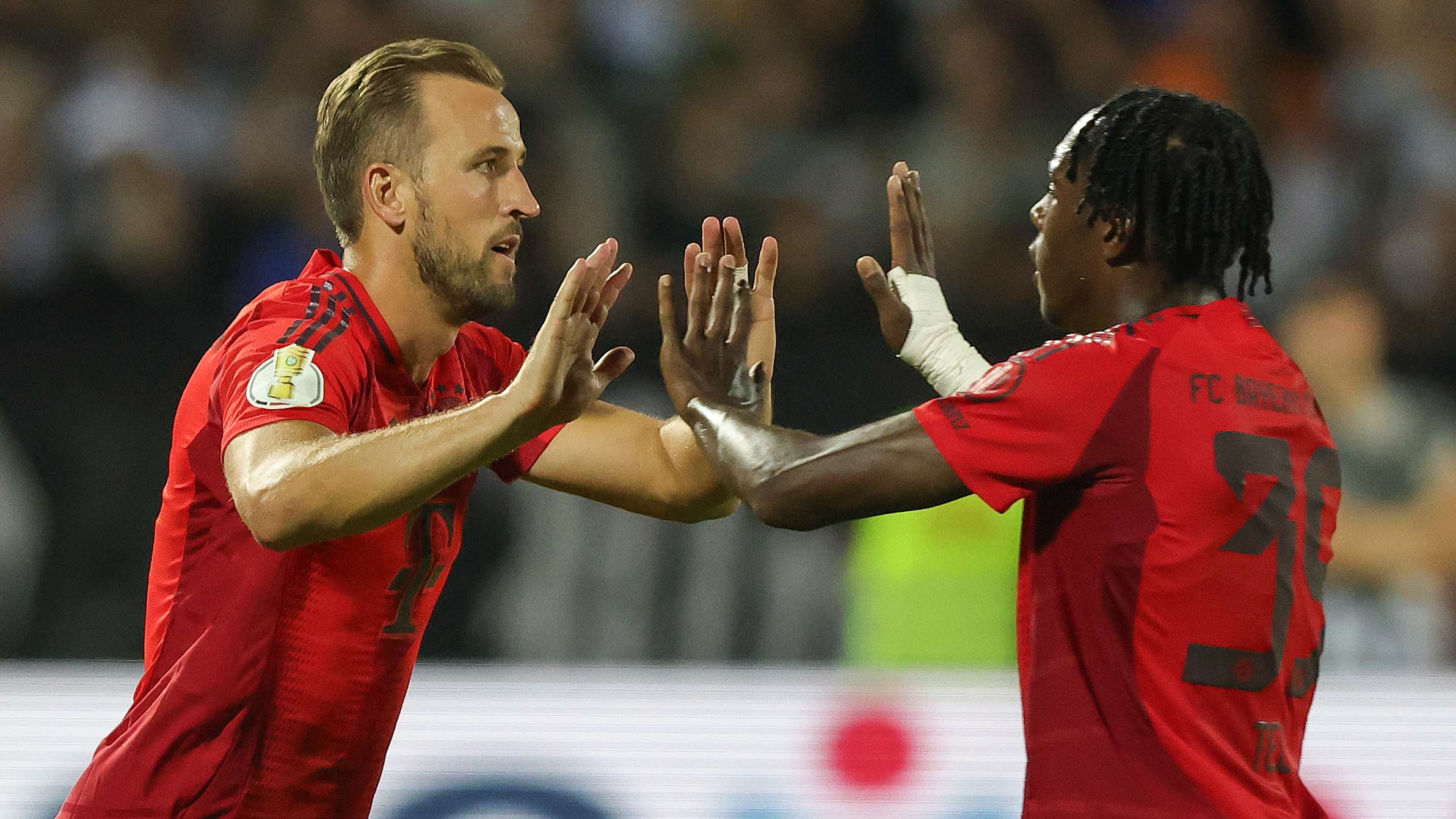 球迷的支持 球迷的支持